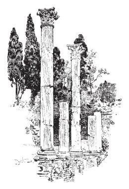 Campus Martius, Roma, vintage çizgi çizme veya oyma illüstrasyon insanlar için bir hediye kuzeyinde yer alan Domitian, sirk Agonalis olarak da bilinir, sütunları.