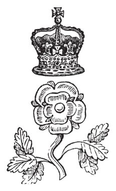 Rose ve Crown rozet olduğunu görevlileri, vintage çizgi çizme veya oyma illüstrasyon tarafından giyilen kendine özgü bir işareti.