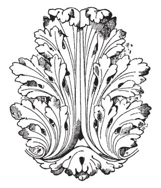 Genel doğal stil, vintage çizgi çizme veya oyma illüstrasyon stilde Louis XVI yaprak.