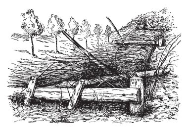 Bu resimde bir mimari yapısı, vintage çizgi çizme veya oyma illüstrasyon kafes temsil eder..