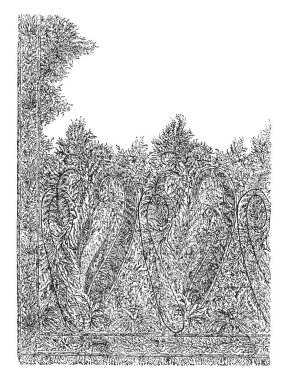 Şal Londra'da dizayn edilmiştir, bu tarzı desen, çizim için vintage veya oyma illüstrasyon gibi bir paisley ile ayrıntılı bir detaylı çiçek tasarım.