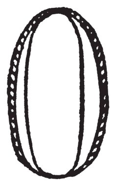 Tek yulaf gösteren resim, onlar oval, vintage çizgi çizme veya oyma illüstrasyon gibi bakmak.