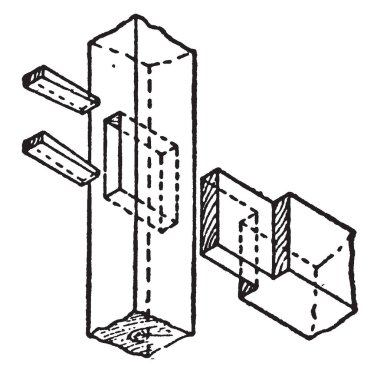 Lily başlık var bu tasarım, vintage çizgi çizme veya oyma illüstrasyon o kadar çok çiçek.