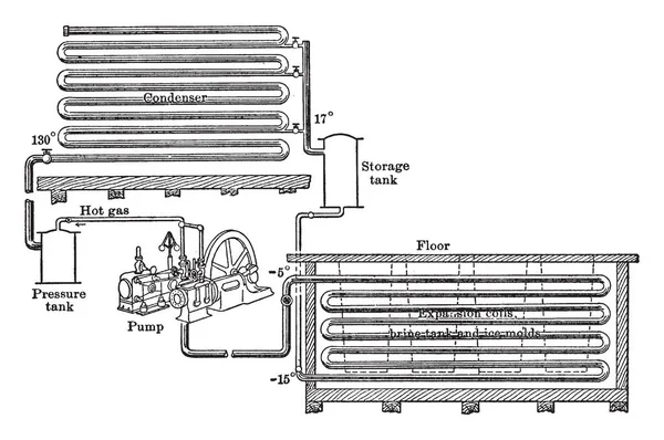 Planta Refrigeración Muestra Aquí Dibujo Línea Vintage Ilustración Grabado — Archivo Imágenes Vectoriales