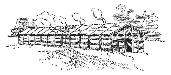 Esta Una Larga Casa Grande Donde Vivirían Hasta Cincuenta Familias — Vector de stock