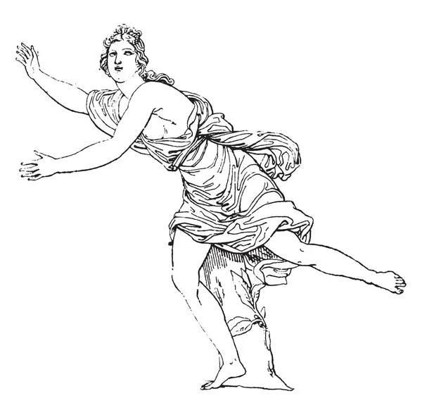 Resmi Daphne Gösteriyor Yunan Mitolojisinde Daphne Nehir Tanrısı Peneus Vintage — Stok Vektör