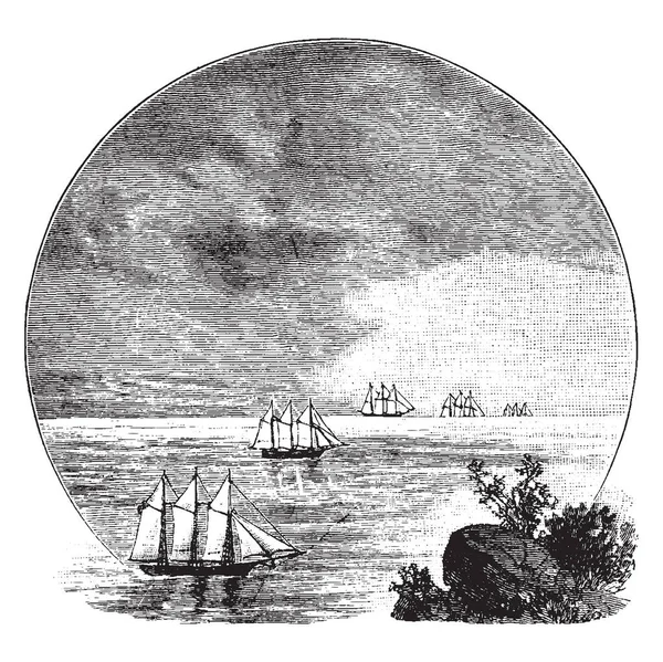 Cinq Navires Arrivant Horizon Dessin Ligne Vintage Illustration Gravure — Image vectorielle