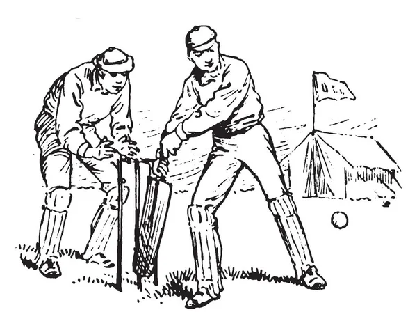 Cricketspeler Raken Van Bal Tijdens Een Wedstrijd Vintage Lijntekening Gravure — Stockvector