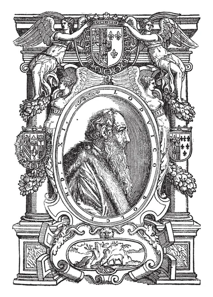 Venetian Print Est Dessin Profil Latéral Vieil Homme Dessin Ligne — Image vectorielle