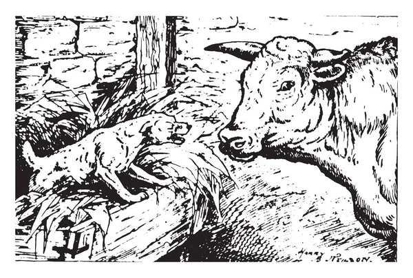 Pies Szczekanie Krowy Żłobie Vintage Rysowania Linii Lub Grawerowanie Ilustracja — Wektor stockowy