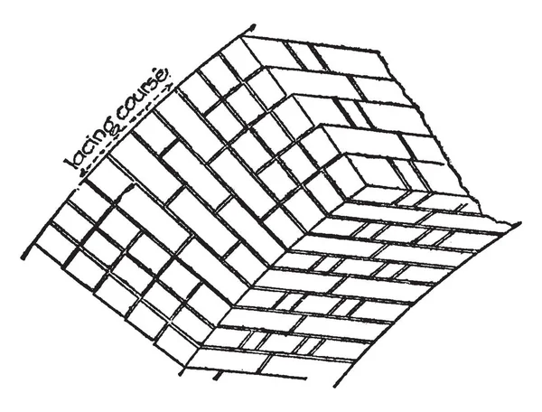 复古线画或雕刻插图 — 图库矢量图片