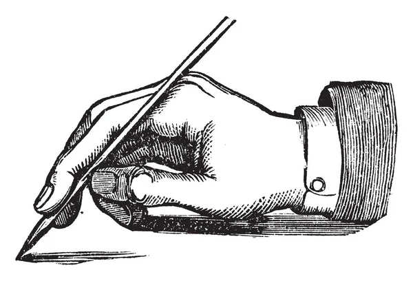 Scrittura Mano Che Tiene Una Penna Disegno Linea Vintage Illustrazione — Vettoriale Stock