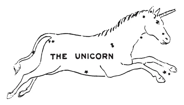Sebuah Gambar Mewakili Pengelompokan Bintang Unicorn Gambar Garis Vintage Atau - Stok Vektor