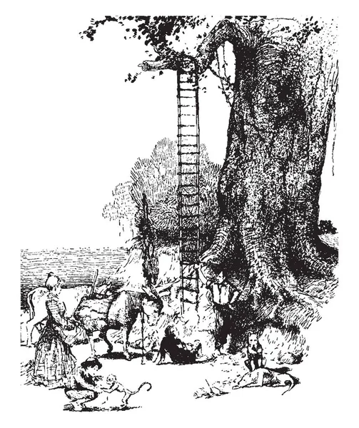 梯子保持在树上 人倒在地上 周围的人和动物树 复古线条画或雕刻插图 — 图库矢量图片