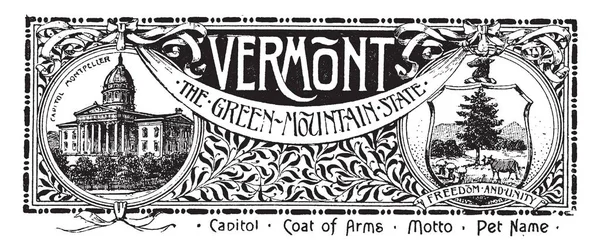 State Banner Vermont Green Mountain State Banner Has State House — 图库矢量图片