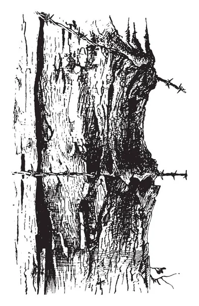 Pień Drzewa Ogrodzenia Drutu Vintage Rysowania Linii Lub Grawerowanie Ilustracja — Wektor stockowy