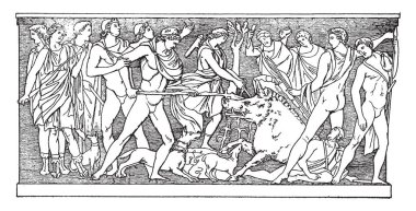 Yaban domuzu sırasında öldüren öncü bir rol aldı Meleager eski bir resmini onun ölüm, vintage çizgi çizme veya oyma illüstrasyon Calydonian domuz avı olarak tanındı.