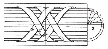Modern zenginleştirme Torus kalıplama sütunlar ve pilasterleri, net çalışma, vintage çizgi çizme veya oyma illüstrasyon bükülmüş güney kıyısında dönem üreme üsleri bulunan.