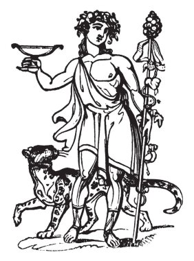 Hayvanla birlikte Bacchus ayakta olarak bilinen Roma tanrısı. Bacchus tarım, şarap ve Yunan tanrısı, vintage çizgi çizme veya oyma illüstrasyon bereket Roma tanrısı olduğuna inanılan.