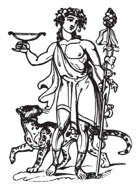 The Roman God known as Bacchus standing with wild animal. Bacchus was believed to be the Roman god of agriculture, wine and fertility copied from Greek God, vintage line drawing or engraving illustration. clipart