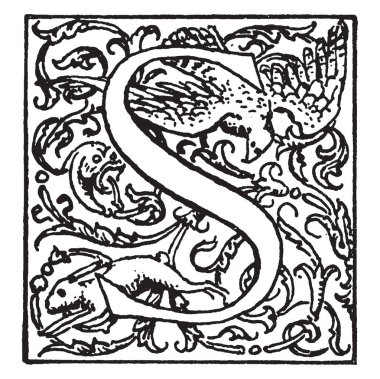 Bir süs ve dekoratif harf S, vintage çizgi çizme veya oyma illüstrasyon