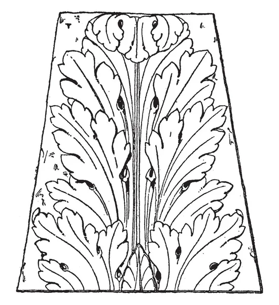 Дизайн Французького Ренесансу Лист Правило Виглядати Більш Формальним Vintage Штриховий — стоковий вектор