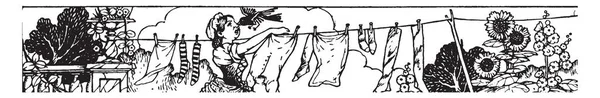 这个场景显示女仆挂在绳子上的衣服 一只小鸟下来 并从她的鼻子 复古线条画或雕刻插图 — 图库矢量图片