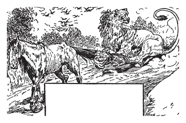 Лис Лошадь Этом Пограничном Дизайне Рисунок Винтажной Линии Гравировка Иллюстрации — стоковый вектор
