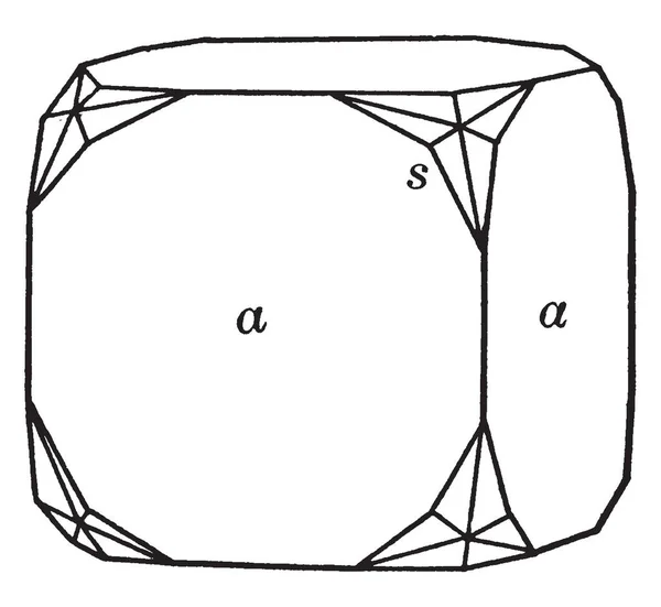 Questo Diagramma Rappresenta Cubo Esottaedro Disegno Linee Vintage Illustrazione Incisione — Vettoriale Stock