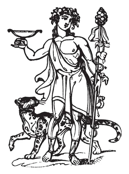 Rzymskiego Boga Znany Jako Bacchus Stojący Dzikich Zwierząt Bacchus Była — Wektor stockowy