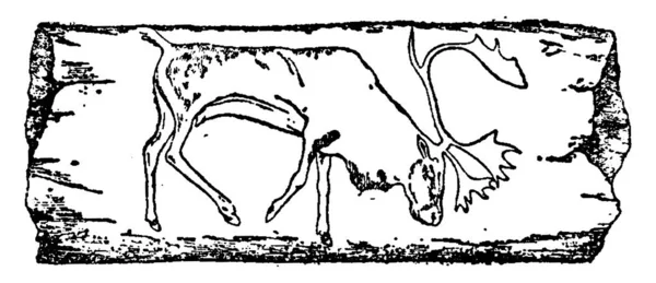 Rendieren Prehistorische Tekening Een Ivoren Blade Vintage Gegraveerde Afbeelding Natural — Stockvector