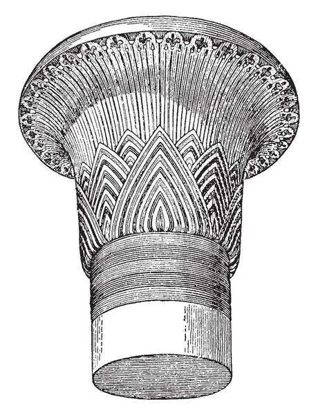 Papiro Capitale Coronamento Membro Colonna Pilastro Disegno Linee Vintage Incisione — Vettoriale Stock