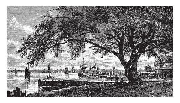 条约榆树标志着迪尔伯恩堡的北部边界预订 复古线条画或雕刻插图 — 图库矢量图片
