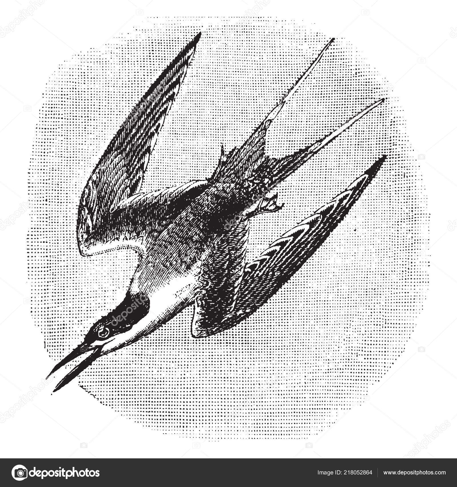 Kazuhiro Higashi的Untitled | 当代艺术的网上艺术商店| ArtSticker, image size:1598x1700