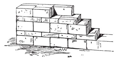 Pseudisodomon, boy, uzunluk, kalınlığı, düşük bağ, yüksek, kurslar, vintage çizgi çizme veya illüstrasyon oyma.