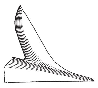 Coulter kendisi, düz kenarlı, vintage oyulmuş illüstrasyon temizliyor. Endüstriyel ansiklopedi E.-O. Lami - 1875