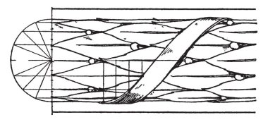 Antika zenginleştirme Torus kalıplama yeşillik, yuvarlak çubuklar şeritler, Ortaçağ kapı ve pencere kemer, vintage çizgi çizme veya oyma illüstrasyon ile kaplıdır.
