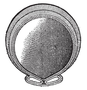 Cudey bandaj, vintage illüstrasyon kazınmış. Endüstriyel ansiklopedi E.-O. Lami - 1875