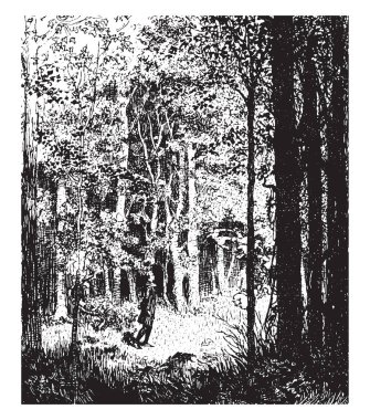 Orman, vintage çizgi çizme veya oyma illüstrasyon tarafından çevrili bir açık alan adam geçiyor.