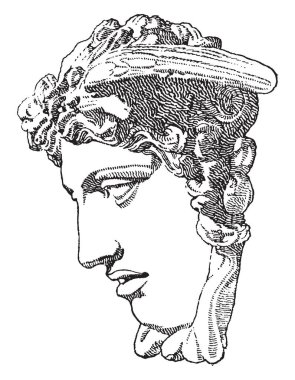 Medusa başı heykeli. Medusa, Yunan mitolojisinde bir Gorgon, saç, vintage çizgi çizme veya oyma illüstrasyon yılanlara bir ejderha benzeri yaratık haline dönüştürdü ölümlü bir kadın vardı..