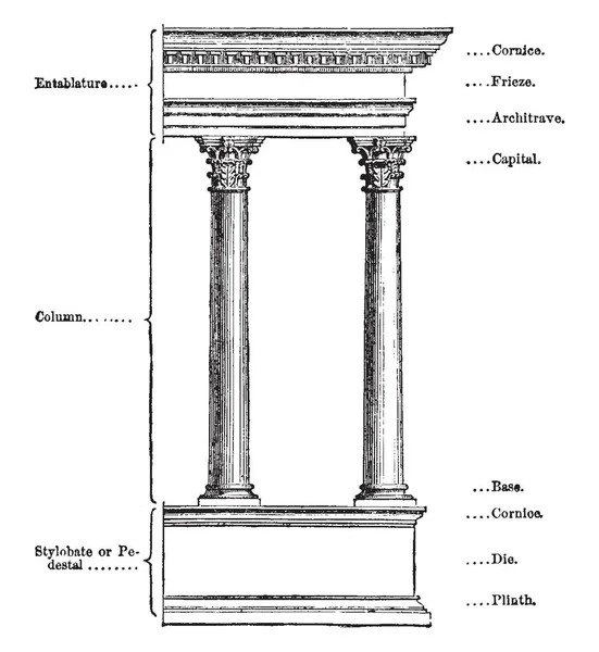Elements Architectural Order Cornice Die Entablature Frieze Pedestal Pilinth Vintage — Stock Vector