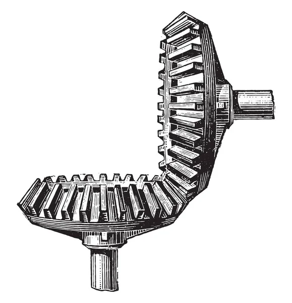 Schuine Kant Gears Voor Hoek Wielen Vintage Gegraveerd Illustratie Industriële — Stockvector