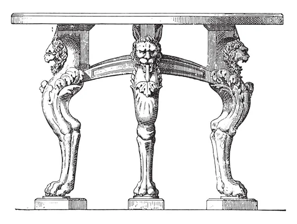 脚形表狮爪 复古雕刻插图 古代古董 Family 1881 的私生活 — 图库矢量图片