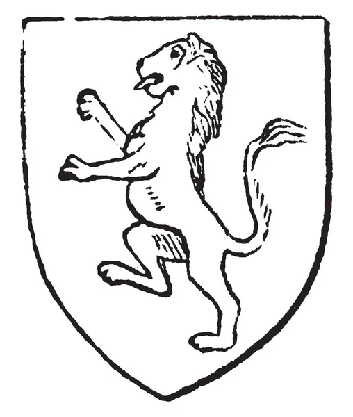 Rampant Lion Przyjęto Jako Odpowiedni Symbol Przez Władców Anglii Vintage — Wektor stockowy