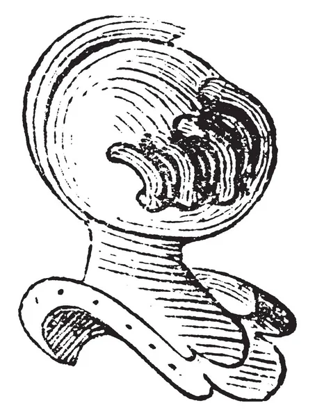 光栅头盔配置文件是常见的所有程度的贵族下公爵 复古线画或雕刻插图 — 图库矢量图片