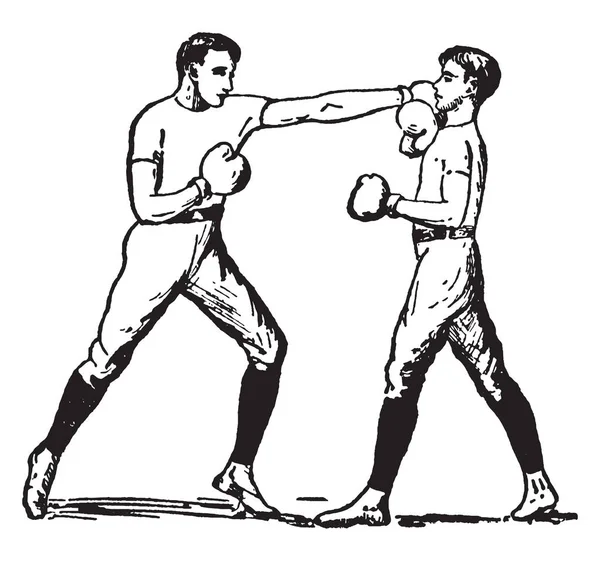 Angreifender Boxer Schlägt Auf Den Kopf Eines Anderen Boxers Und — Stockvektor