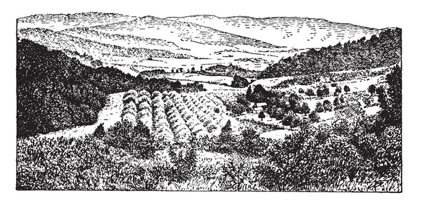 Esta Ilustración Representa Región Del Piamonte Las Aleganías Dibujo Líneas — Archivo Imágenes Vectoriales