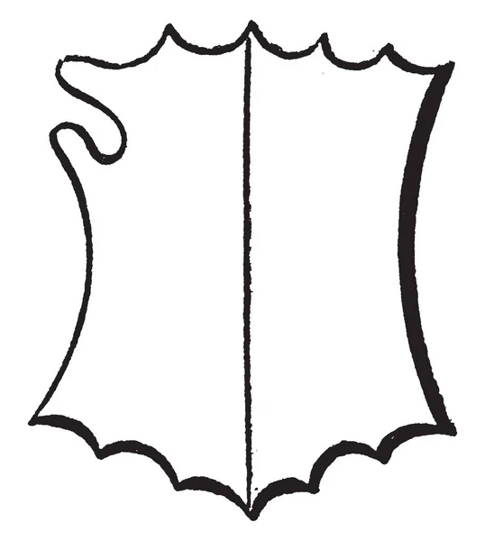 Puntige Bouche Shield Een Heraldische Met Een Bleke Divisie Vintage — Stockvector