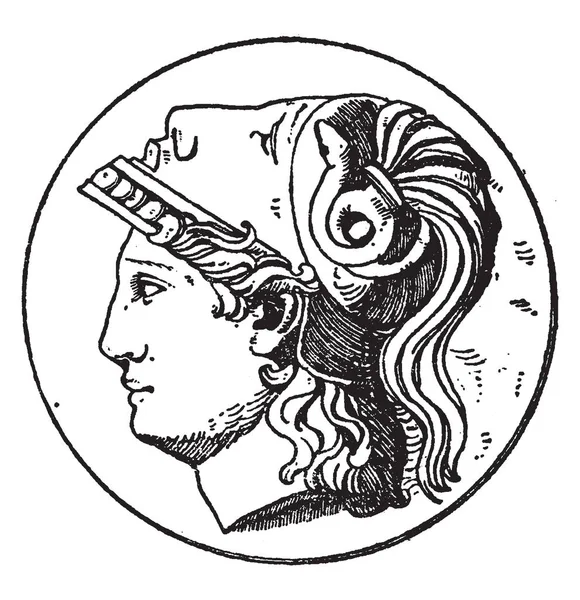 密涅瓦头像的图片 这是希腊女神雅典娜的设计 这种设计经常发生在奖章 复古线画或雕刻插图 — 图库矢量图片