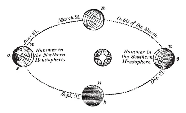 Времена Года Происходят Воздействия Земли Солнце Июня Лето Северном Полушарии — стоковый вектор
